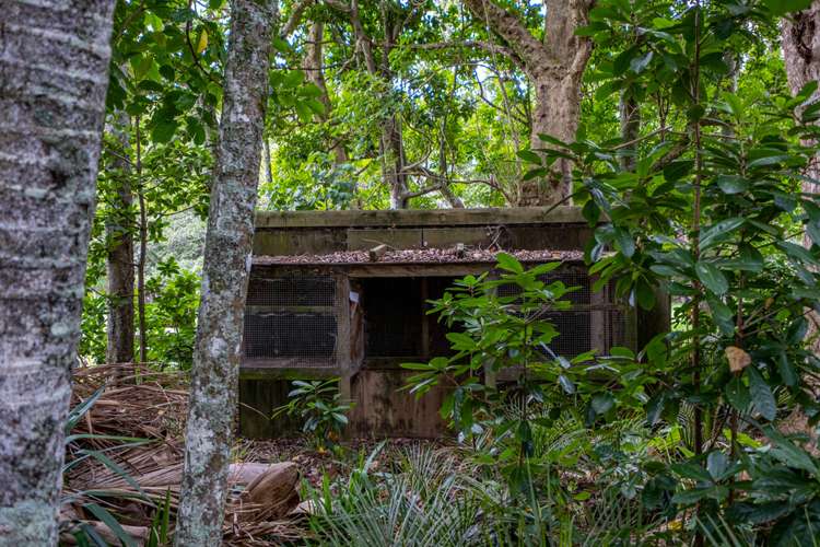 514 Gill Road Kaitaia_25