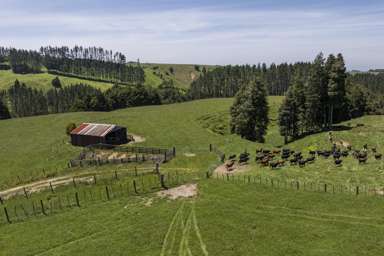 1707 Te Matai Road_3