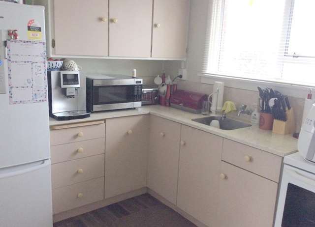 70 Harland Street Tinwald_2