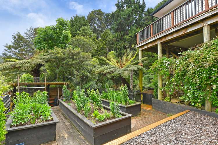 43 Forest Road Pinehaven_16