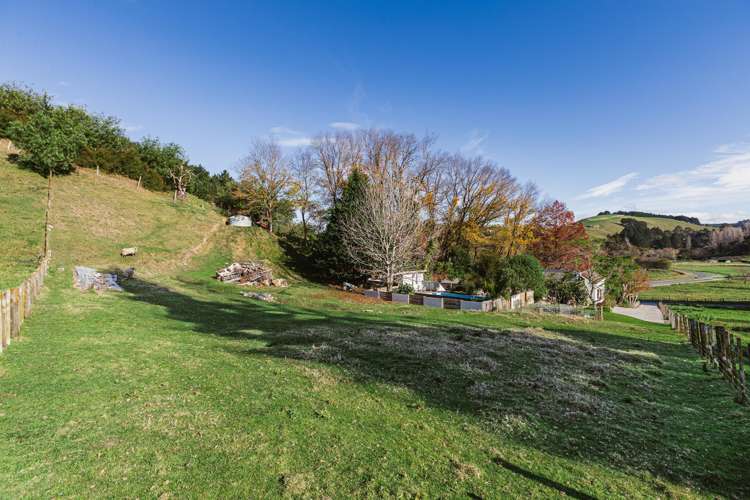 164 Hill Road Eskdale_9