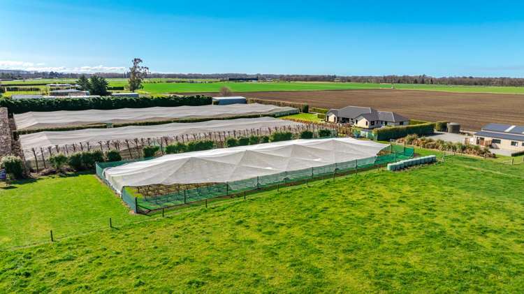 16 Arowhenua Station Road Kerrytown_94