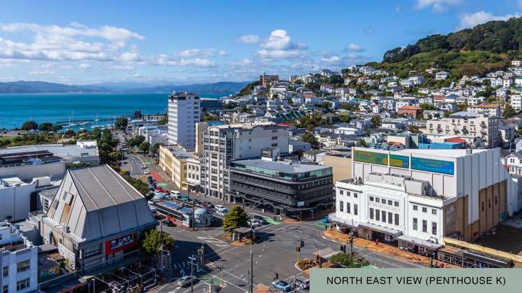 1A/10 Alpha Street Te Aro_5