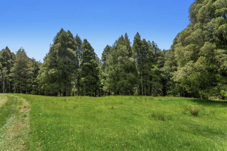 2060 Motu Road Opotiki_13