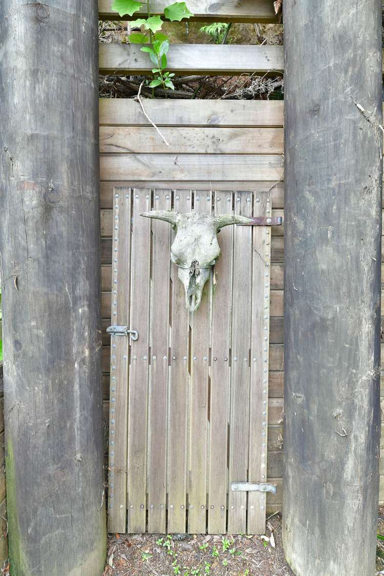 65 North Cove Kawau Island_20