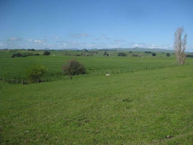 314 Umutaoroa Road Dannevirke_3