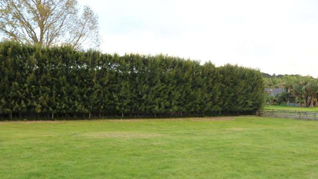 Brenda Gardner Way Maunu_4