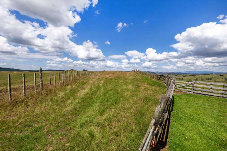 826 Ruakiwi Road Te Akau_23