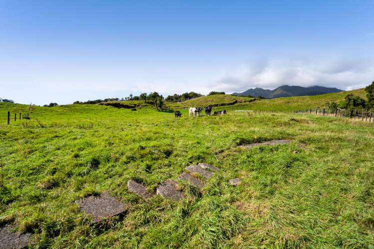 855 Dover Road Okato_18