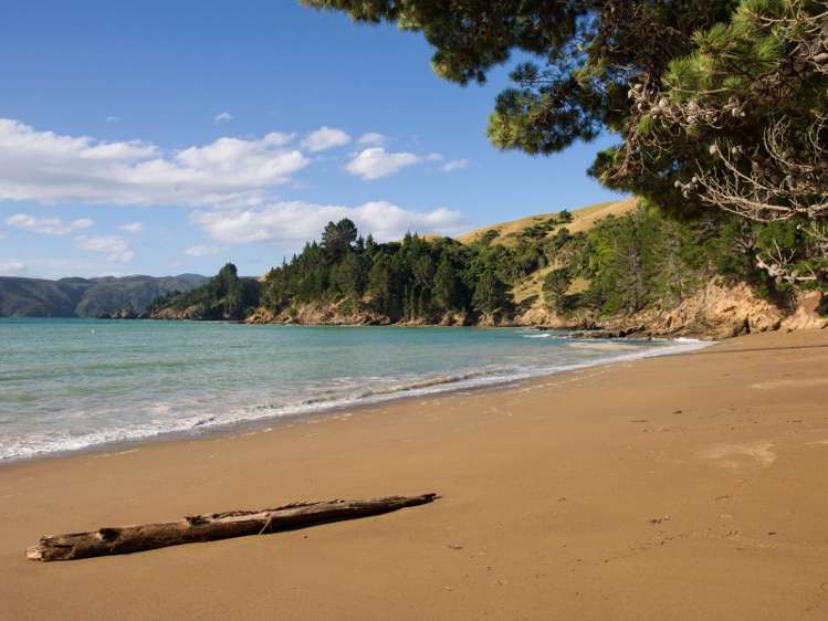 5193 Croisilles-French Pass Road Marlborough Sounds_13