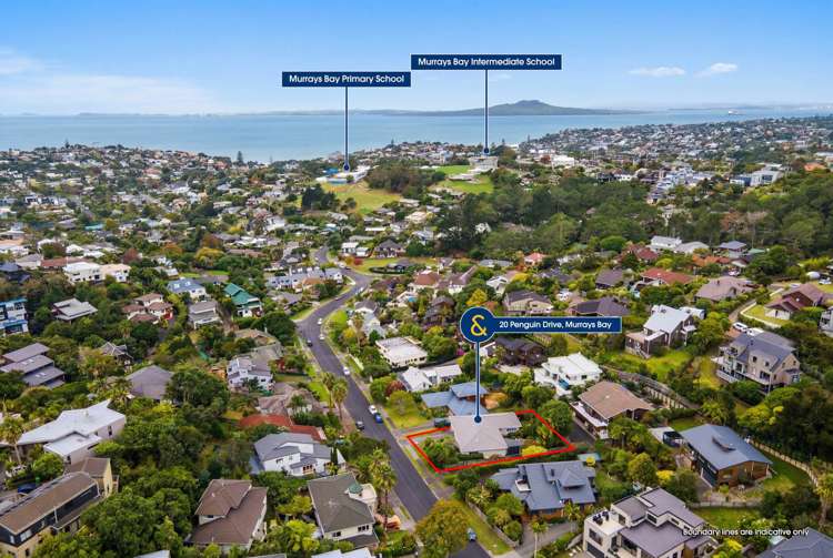 20 Penguin Drive Murrays Bay_19