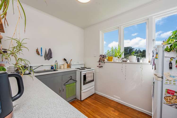 11 Mount Pleasant Road Aro Valley_7