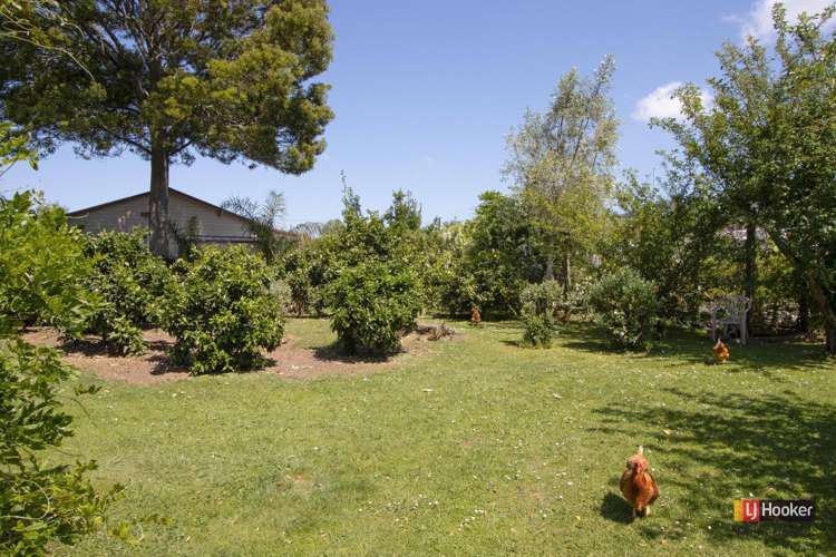 1 Kitchener Street Waihi_17