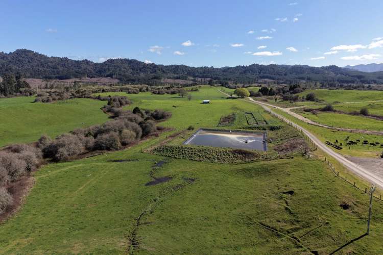 283 Minginui Road Galatea_12