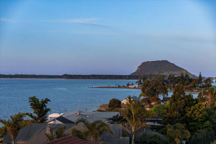 117 Matua Road Matua_7