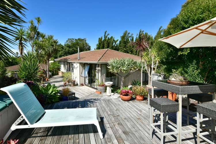 56 Polkinghorne Drive Manly_4