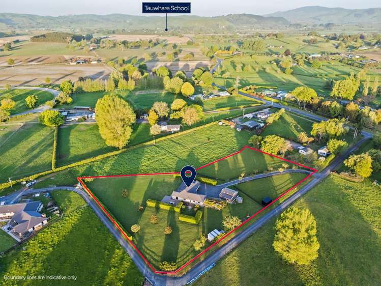 899A Tauwhare Road Tauwhare_25