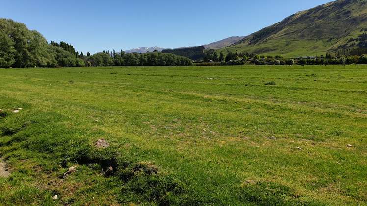 Riverbank Road Wanaka_5