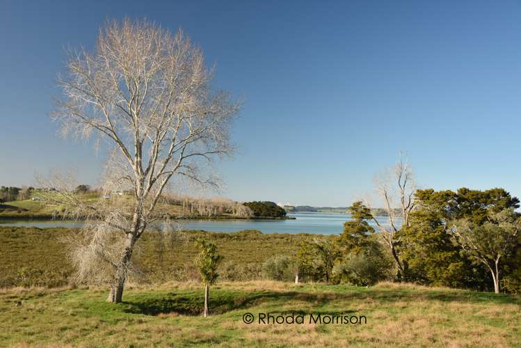 50 Barlow Lane Matakohe_29