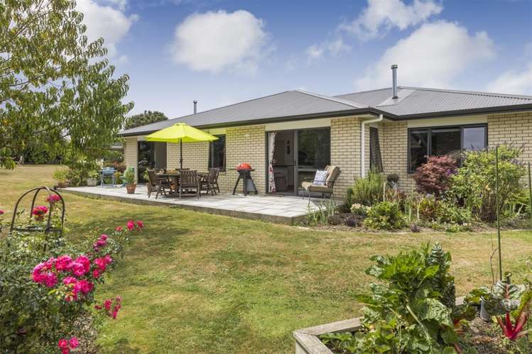 15d Aitken Street Bulls_23