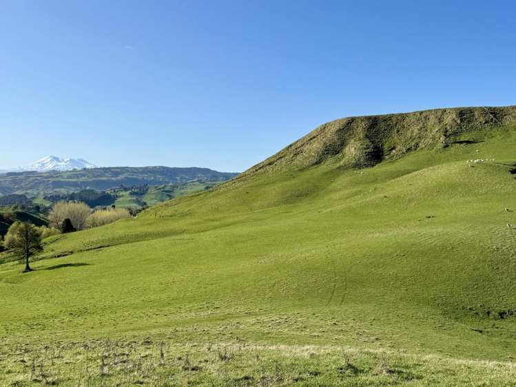 515 Ruanui Road Taihape_10