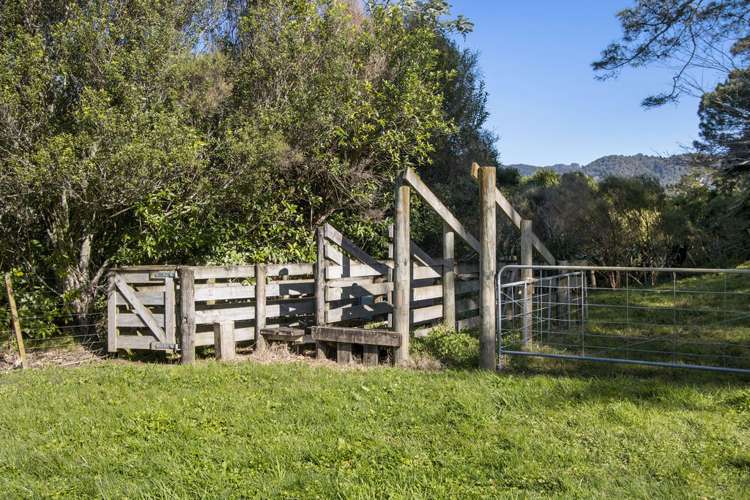 24B Chard Road Katikati_16