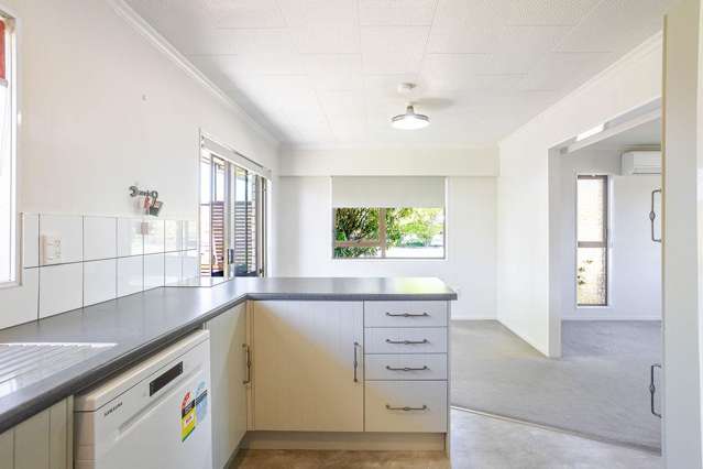 61 Allardice Street Dannevirke_4