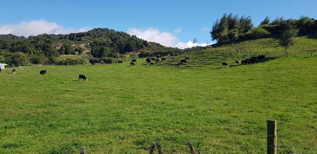 Princes Street Waikino_1