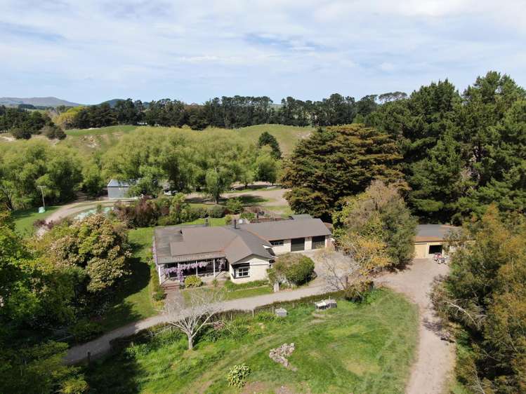 1298 Farm Road Waipukurau_18