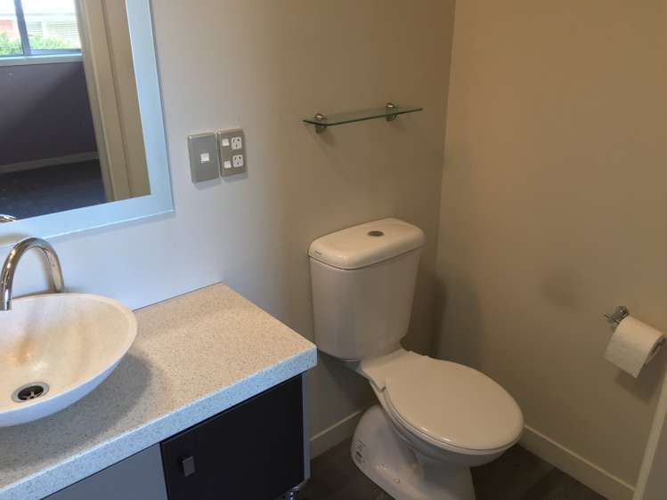 167 Somerville Street Waverley_11