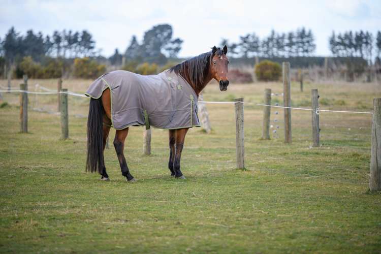 260 Hororata Road Hororata_22