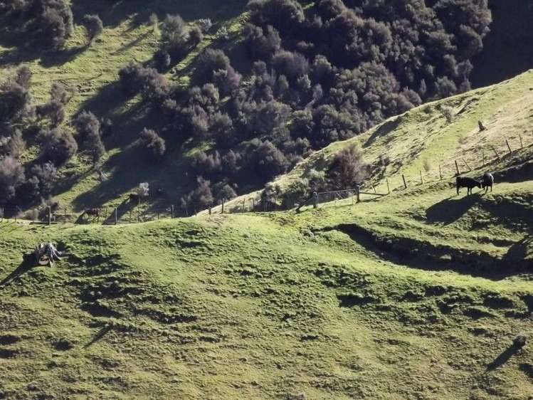 704 Mangatarere Valley Road Carterton_12