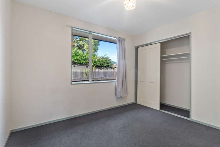 23 Somerfield Street Somerfield_6