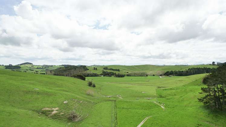 1108 Tokatoka Road Ruawai_8