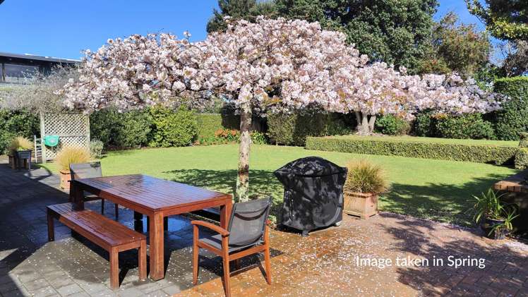 7 Douglas Street Paraparaumu Beach_3