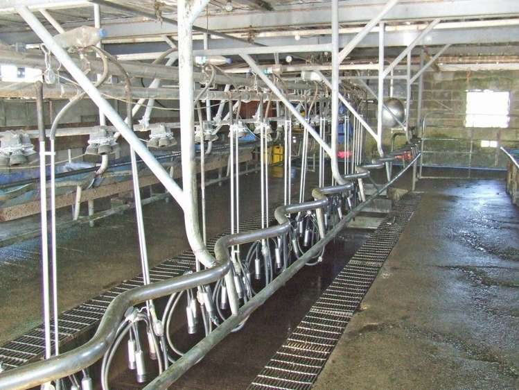 306 Gillespies Line Kairanga_11