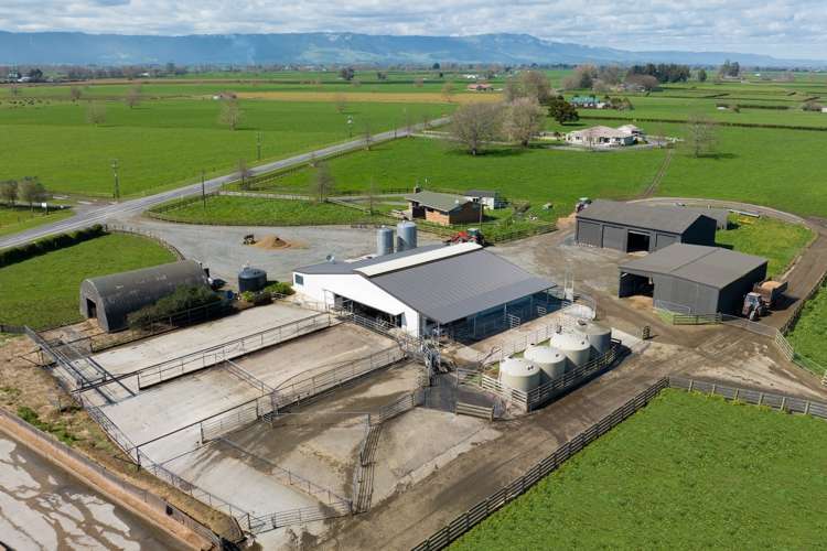 Alexandra Road Waharoa_5