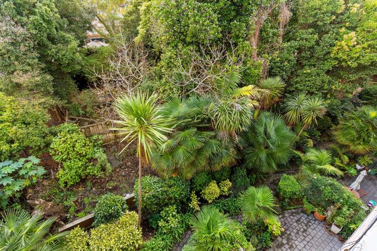 38/18 Edenvale Crescent Mount Eden_11