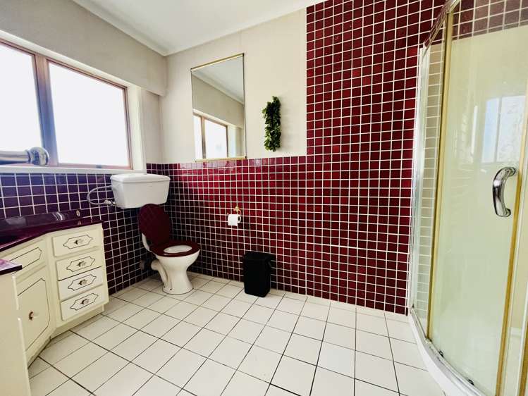 169 Elliot Street Pahurehure_10