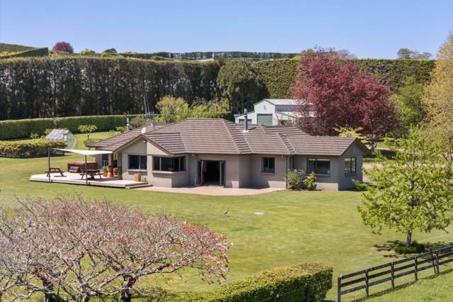 155 Ongare Point Road Katikati_1