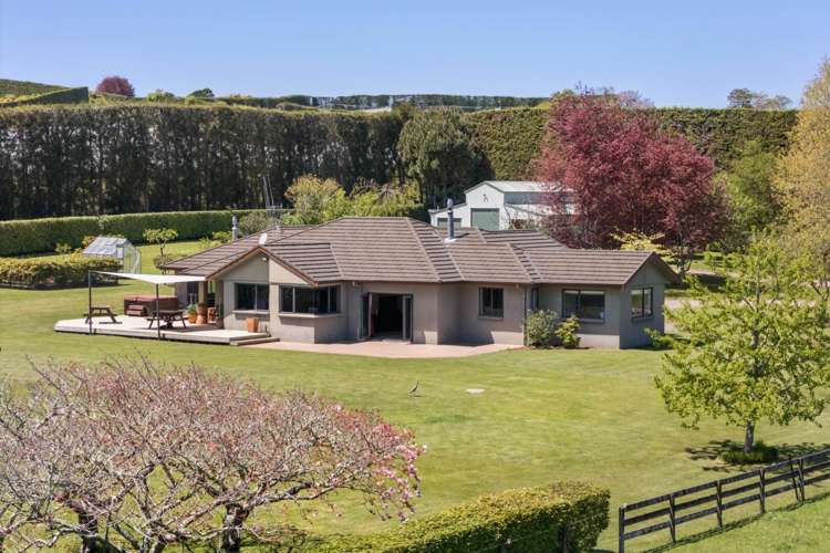 155 Ongare Point Road Katikati_1