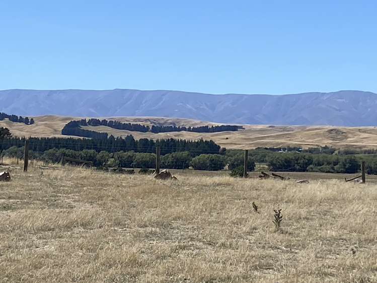 Woolshed Creek Road Saint Bathans_4