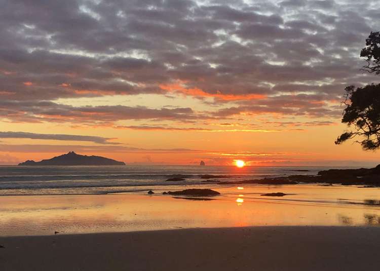 Lot 2 Cullen Road Waipu_10