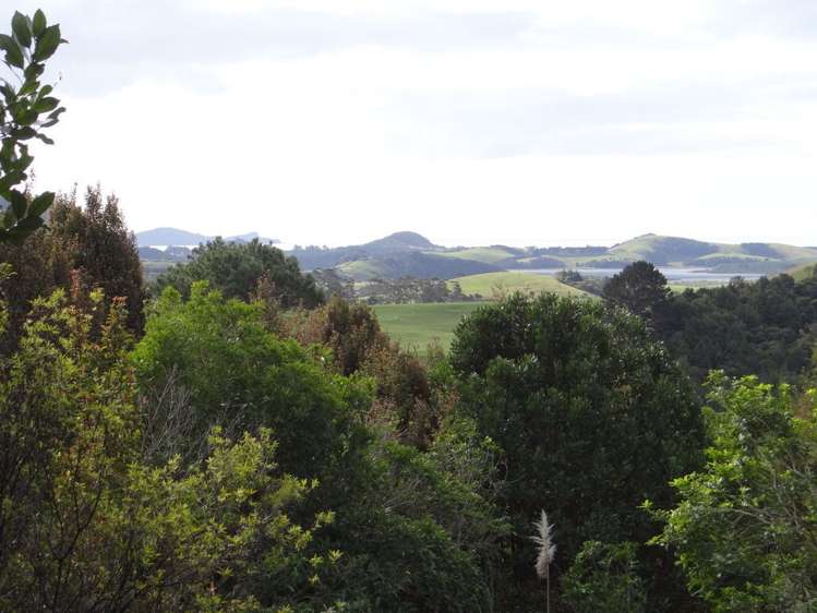 206 Kauri Mountain Road Taiharuru_1