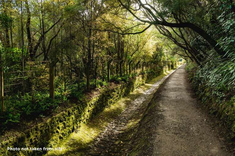 135 Shetland Street Wakari_21