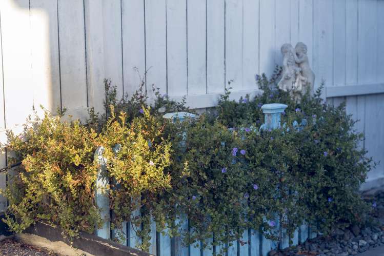 25 Gilbransen Road Kumeu_23