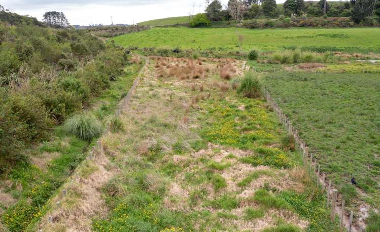 Lot 2/Section 52 Whangamarino Road Whangamarino_13