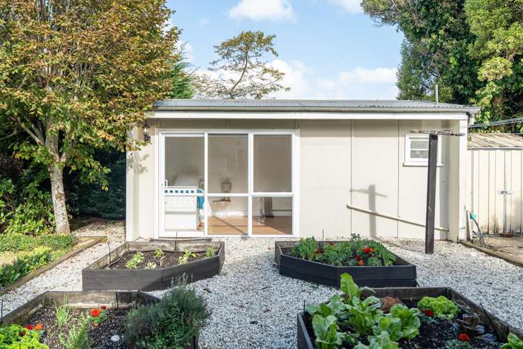 247 Herbert Street Windsor_33