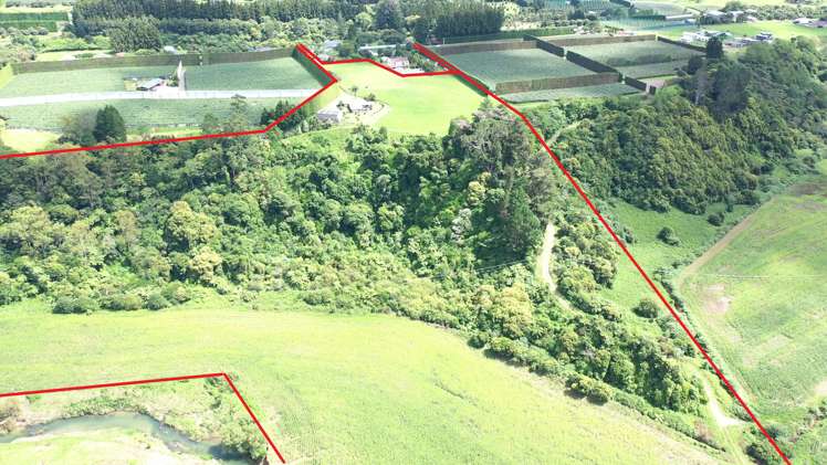 181b No 1 Road Te Puke_11