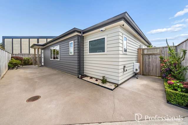 9b Taita Drive Boulcott_3